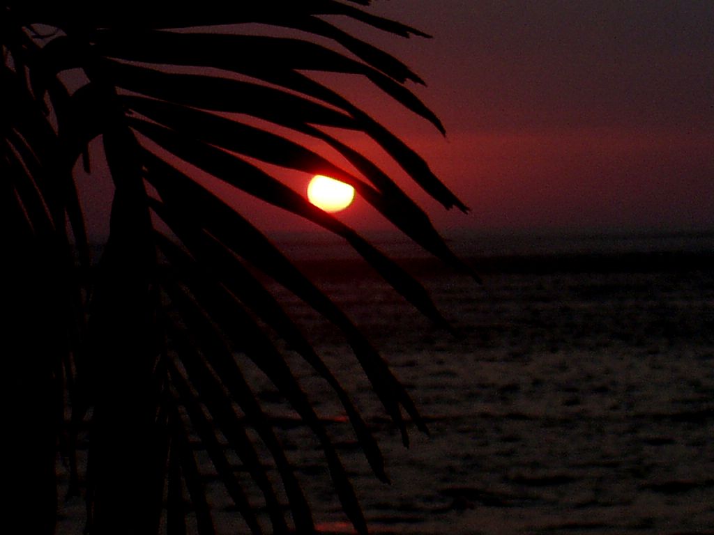 Ondergaande zon in Negril